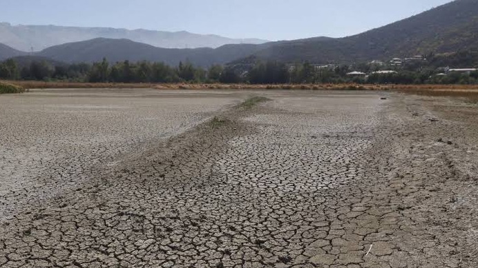Sequía golpea al sector ganadero y pone en riesgo a 30.000 cabezas de ganado en Omereque