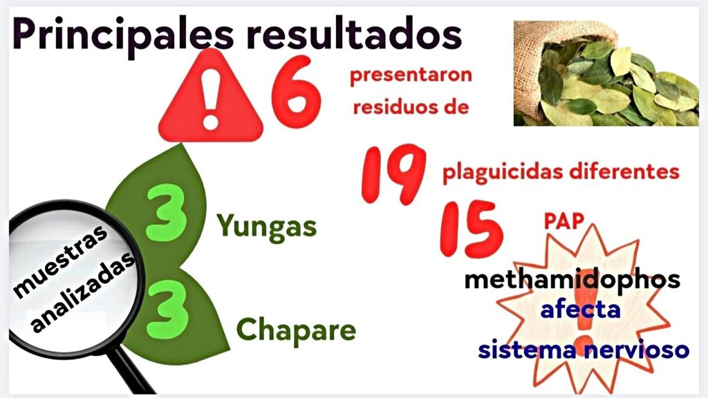 Cuadro 1.  Resultados del estudio realizado a la hoja de coca. (Ciudadanía)