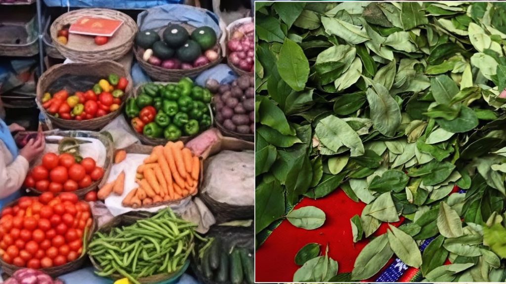 Imágenes referenciales de una variedad de verduras y hoja de coca. (FEM Media) 