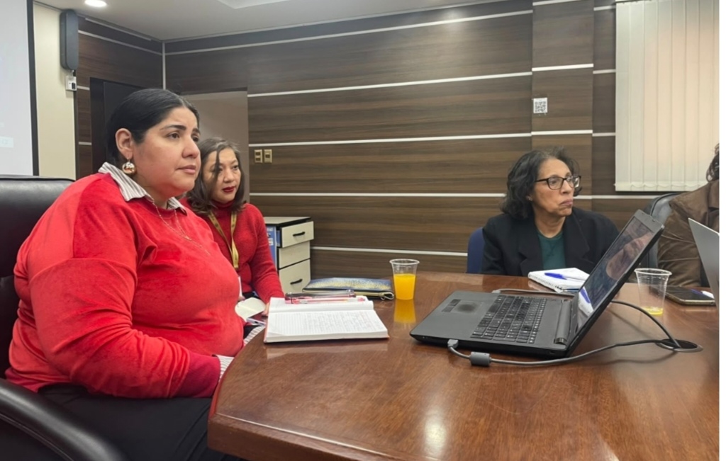 La viceministra de Igualdad de Oportunidades , Jessi ca Echeverría.